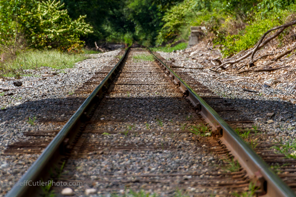 Rail tracks through the National Park at the Kelly House